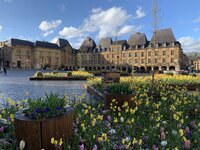 IMG_5222.jpeg