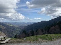 IMG_5237.jpeg