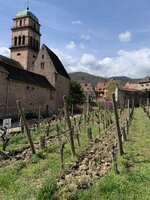 IMG_5253.jpeg