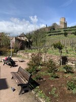 IMG_5252.jpeg