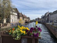 IMG_5286.jpeg