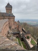 IMG_5365.jpeg