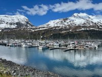 IMG_0695.jpg