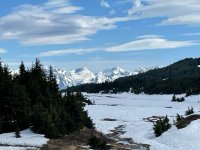 IMG_0736.jpg