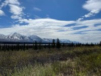 IMG_0765.jpg