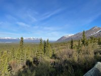 IMG_0800.jpg