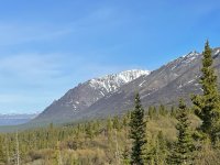 IMG_0802.jpg