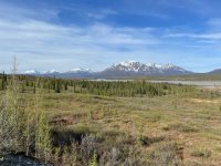 IMG_0811.jpg