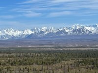 IMG_0815.jpg