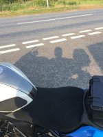 IMG_2206.jpeg