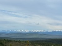 IMG_0976.jpg