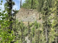 IMG_0984.jpg
