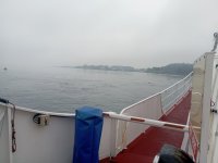IMG_20230617_081511.jpg