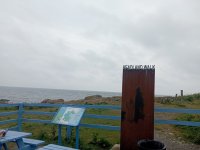 IMG_20230617_130007.jpg
