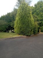 IMG_20230617_191100.jpg