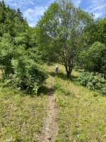 IMG_6635.jpg