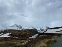 IMG_1143.jpg