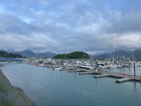 IMG_1153.jpg
