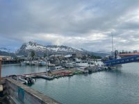 IMG_1154.jpg