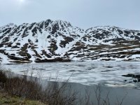 IMG_1164.jpg