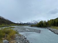 IMG_1168.jpg