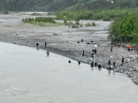 IMG_1180.jpg