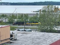 IMG_1217.jpg