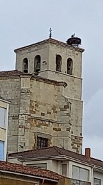 20230620_151723.jpg