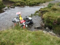 35591615-M (Small).jpg