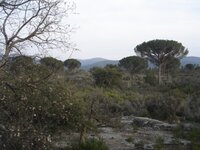 ViewFromMasDuRouquan.jpg
