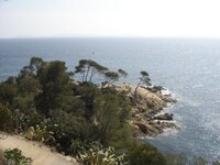 TheMedNearLeLavandou.jpg