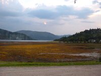 Pub at Strontian13.jpg