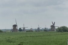 IMG_3663.jpeg