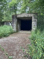 IMG_3752.jpeg
