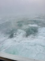 20230705_071630.jpg
