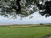 IMG_7125.jpeg