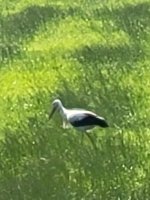 20230715_093242.jpg