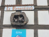 20230715_174903.jpg