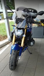 IMG_0181.jpeg