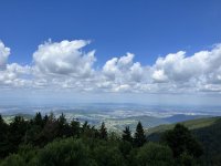 IMG_4965.jpeg IMG_4965.jpeg