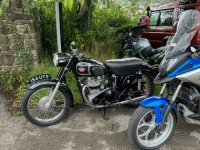 IMG_8083.jpeg