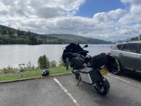 IMG_7310.jpeg IMG_7310.jpeg