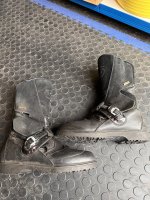 IMG_0310.jpeg