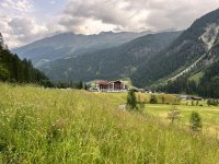IMG_3459.jpeg
