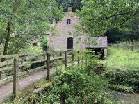 IMG_2962.jpeg