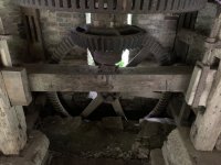 IMG_2966.jpeg