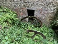 IMG_2972.jpeg