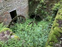 IMG_2973.jpeg