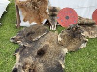 Viking_106.jpg