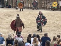 Viking_84.jpg
